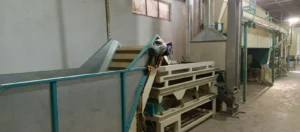 gezer-agro-fabrika-1
