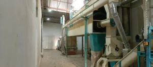 gezer-agro-fabrika-2