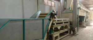 gezer-agro-fabrika-5